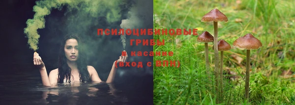 таблы Елабуга
