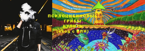 метамфетамин Ельня